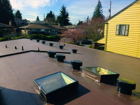 IB Roof