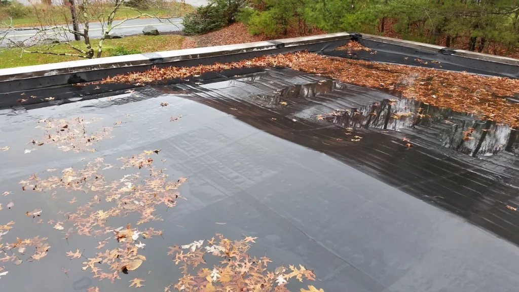 water removal services - Ponding Water On Flat Roofs