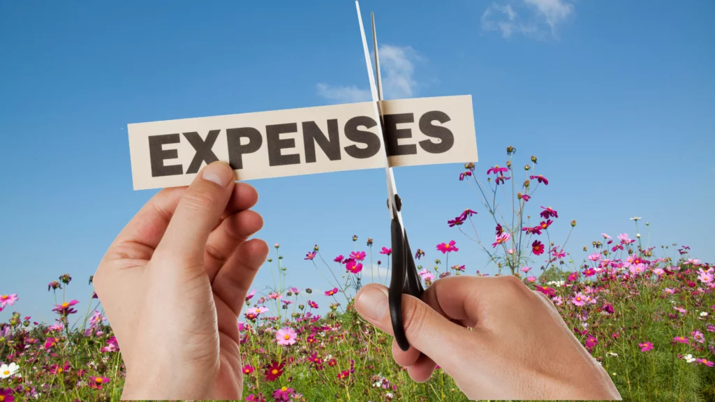 Cut Down Expenses