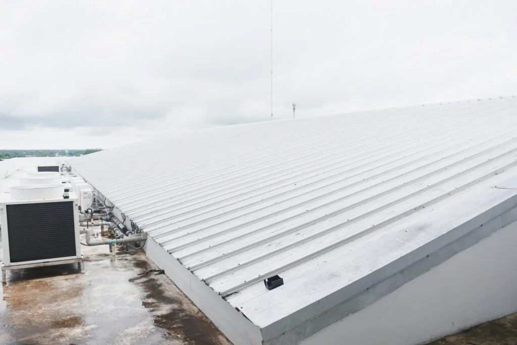 White Roof