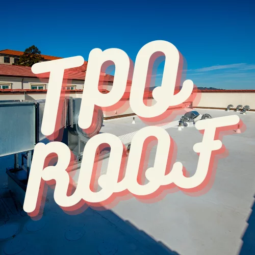 tpo roof