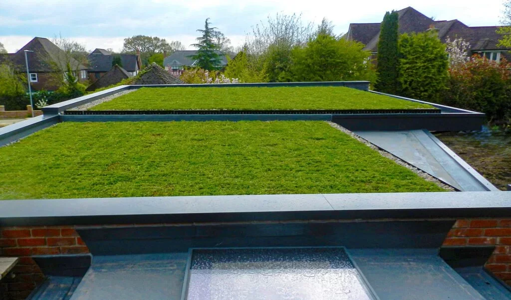 House with flat green roof