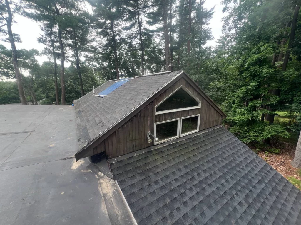 roof shingles for removal