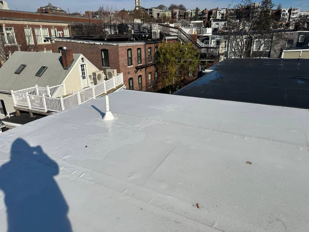 bosotn roofing