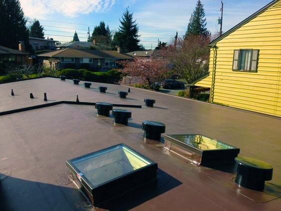 IB Roof
