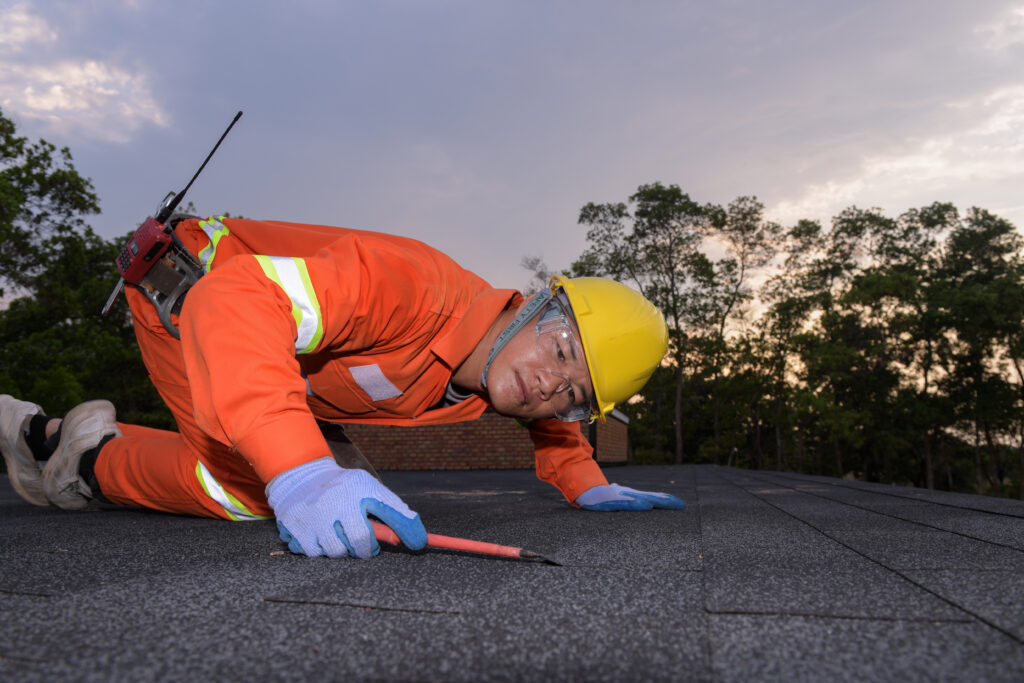 Roof maintenance