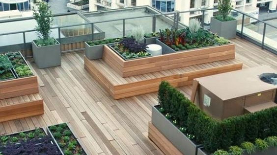 roftop deck