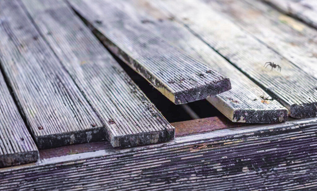deck problems - Structural Issues